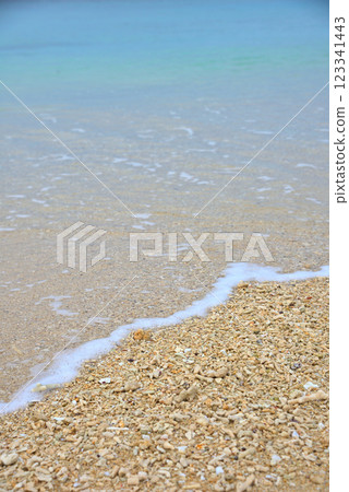 <Okinawa Prefecture> Pieces of coral washed up on a beach in Okinawa <Okinawa Prefecture> Pieces of coral washed up on a beach in Okinawa 123341443