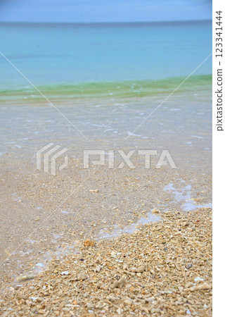 <Okinawa Prefecture> Pieces of coral washed up on a beach in Okinawa 123341444