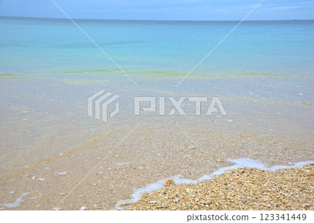 <Okinawa Prefecture> Pieces of coral washed up on a beach in Okinawa 123341449