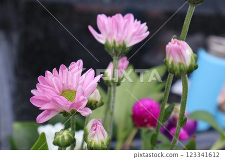 花 花 123341612