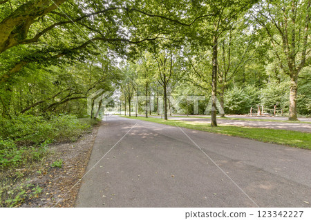 A peaceful pathway meandering through a vibrant forest filled with tall trees and lush greenery, inviting serenity and nature's beauty. 123342227