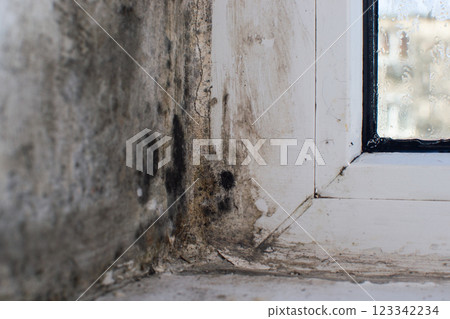mold on the window. The concept 123342234