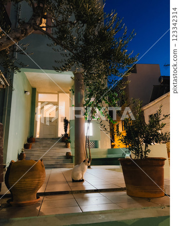 Experience Charming Nighttime Entrance Featuring Lush Plants and Welcoming Glow. entrance is beautifully lit, displaying vibrant plants and creating warm ambiance during twilight. vertical, film look 123342314