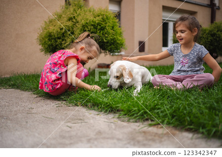 Children joyfully playing with a friendly dog in the garden 123342347
