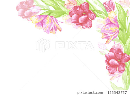 Hand drawn watercolor colorful tulips with green leaves frame border. Illustration of flowers isolated on white background. Can be used for postcard, invitation, scrapbook and other printed products. 123342757