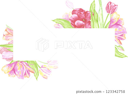Hand drawn watercolor colorful tulips with green leaves frame border. Illustration of flowers isolated on white background. Can be used for postcard, invitation, scrapbook and other printed products. Hand drawn watercolor colorful tulips with green leaves frame border. Illustration of flowers isolated on white background. Can be used for postcard, invitation, scrapbook and other printed products. 123342758