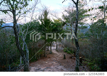 Hiking trail 123342803