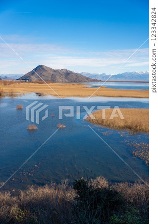 View of Skadar Lake with reeds on mountains background in winter, Montenegro 123342824