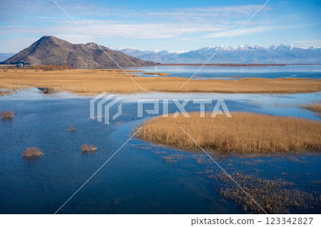 View of Skadar Lake with reeds on mountains background in winter, Montenegro 123342827