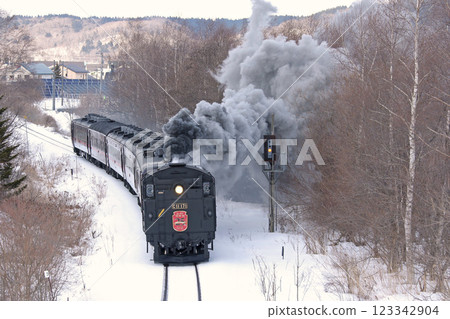 蒸汽機車冬季濕地 25 週年紀念,森茂幹線,蒸汽機車列車,C11 171 蒸汽機車冬季濕地 25 週年紀念,森茂幹線,蒸汽機車列車,C11 171 123342904