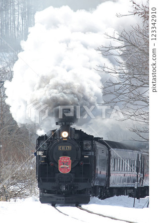 25th Anniversary of the Steam Locomotive Winter Wetlands, Senmo Main Line, Steam Locomotive Train, C11 171 25th Anniversary of the Steam Locomotive Winter Wetlands, Senmo Main Line, Steam Locomotive Train, C11 171 123342910