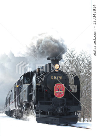 蒸汽機車冬季濕地 25 週年紀念,森茂幹線,蒸汽機車列車,C11 171 蒸汽機車冬季濕地 25 週年紀念,森茂幹線,蒸汽機車列車,C11 171 123342914