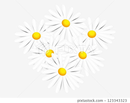 Floral background with daisies. 123343323