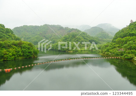 梨子湖（東鄉水壩、混凝土重力壩） 123344495