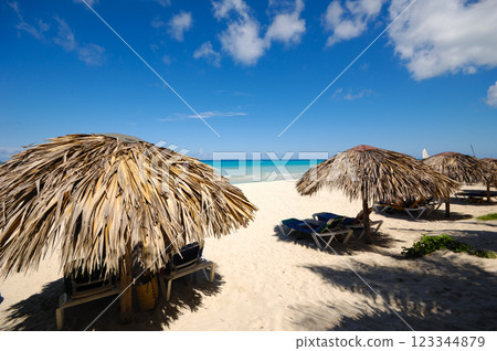 Parasols on exotic beach 123344879