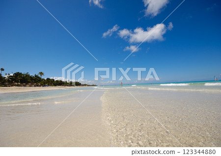 Tropical beach Tropical beach 123344880