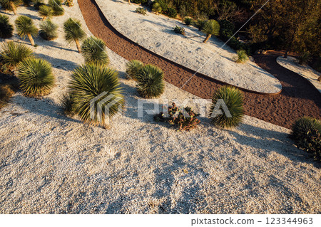 Interior path with white stones and palm trees 123344963