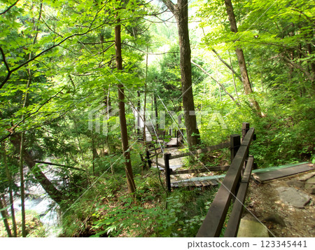 Path to a bridge in the woods Path to a bridge in the woods 123345441