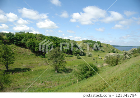 Green Landscape 123345784