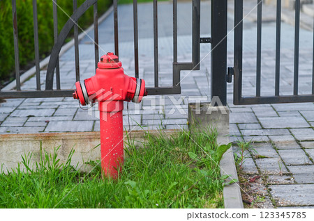 A red fire hydrant near an iron fence. A red fire hydrant near an iron fence. 123345785