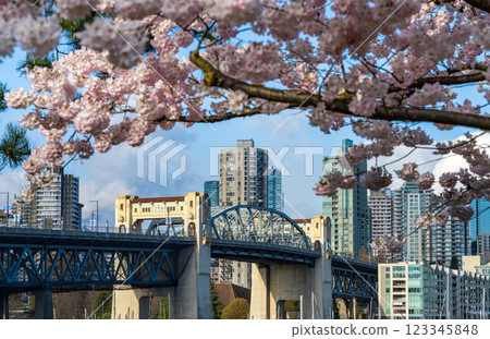 Vancouver City downtown skyscrapers skyline and Burrard Street Bridge. Cherry trees flowers full bloom in springtime. British Columbia, Canada. 123345848