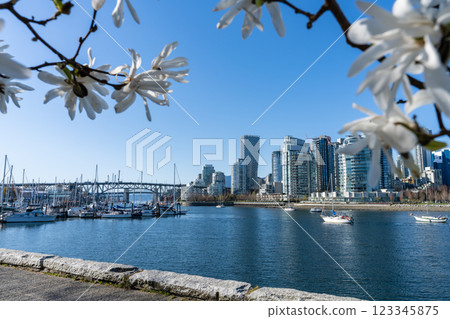Charleson Park seawall trail in springtime. False Creek Vancouver marina, modern buildings skyline. Vancouver, BC, Canada. Charleson Park seawall trail in springtime. False Creek Vancouver marina, modern buildings skyline. Vancouver, BC, Canada. 123345875