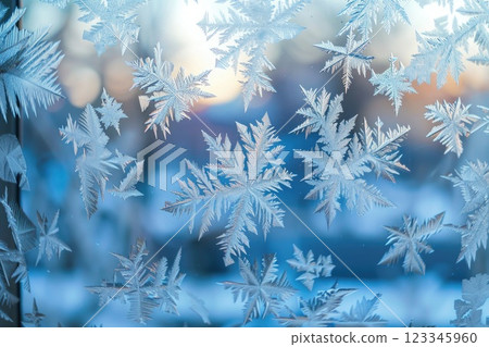 Ethereal Frost Patterns on Winter Windowpane 123345960