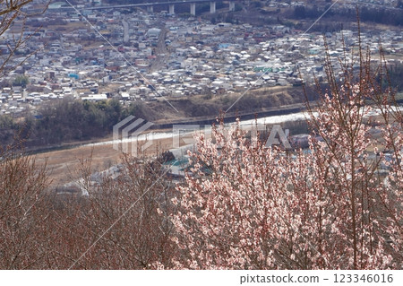 從法斗山俯瞰小鎮 從法斗山俯瞰小鎮 123346016