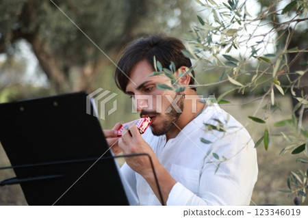 Boy Plays Music With Harmonica And Keyboard Among The Olive Trees Of Calabria Boy Plays Music With Harmonica And Keyboard Among The Olive Trees Of Calabria 123346019