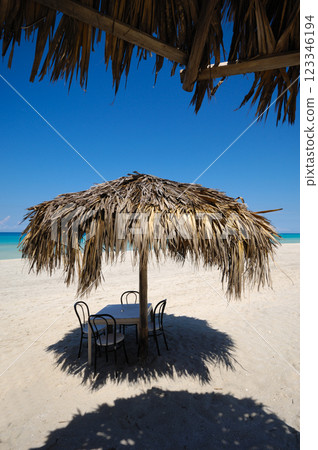 Parasol on exotic beach 123346194