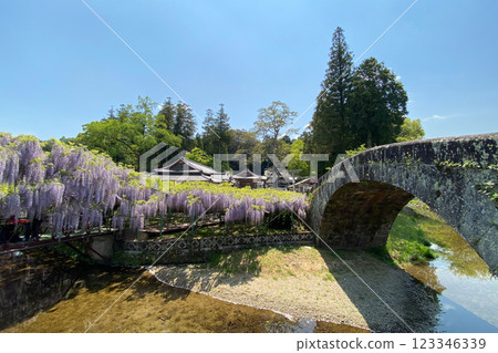 Wisteria flowers at Sasamuta Shrine 123346339