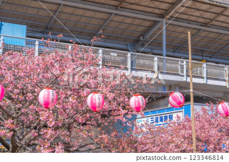 以櫻花圖案裝飾的車站招牌 第 21 屆三浦海岸櫻花節 2025 123346814