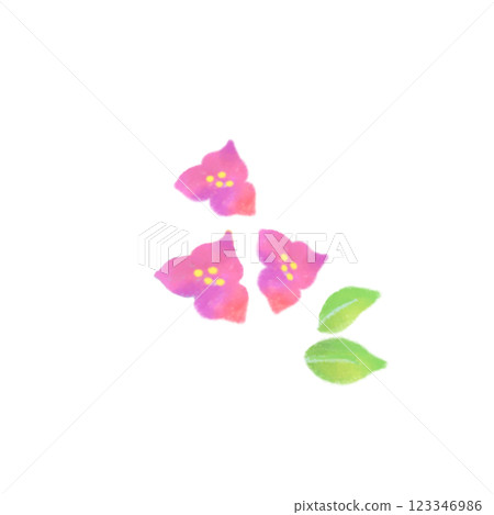 九重葛的水彩插圖 123346986