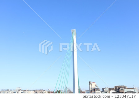 Shin-Nakagawa Osugi Bridge Shin-Nakagawa Osugi Bridge 123347117