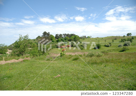 Cows and green landscape 123347280