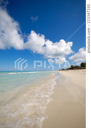 Tropical beach 123347293