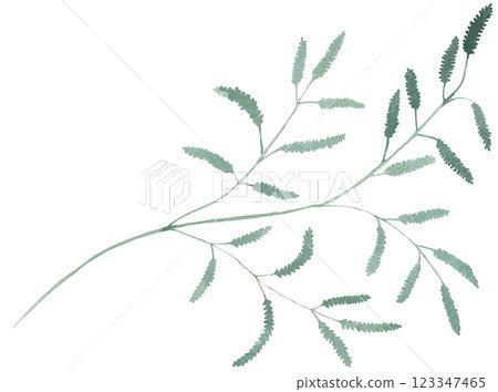 Watercolor twig with green leaves isolated illustration, botanical summer wedding element Watercolor twig with green leaves isolated illustration, botanical summer wedding element 123347465
