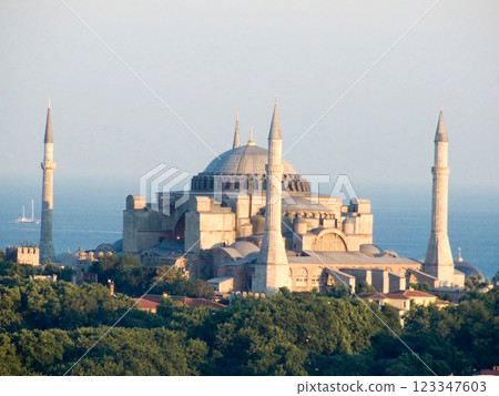 Mosque 123347603