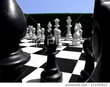 Chess in a garden 123347625
