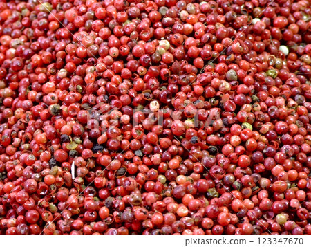 Red pepper 123347670