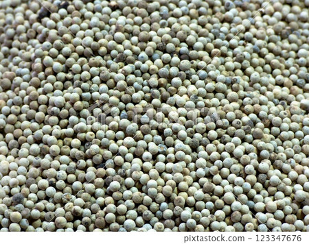 White pepper White pepper 123347676