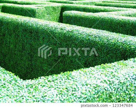 Maze in a garden Maze in a garden 123347684