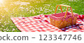 Checkered duvet lying on the fresh green grass and wicker picnic basket standing on it. 123347746