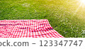 Checkered duvet lying on the fresh green grass in sunny day. 123347747