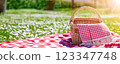 Checkered duvet lying on the fresh green grass and wicker picnic basket standing on it. 123347748
