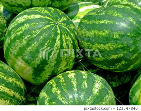 Watermelons Watermelons 123347840