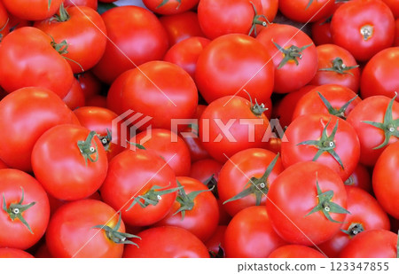 Tomatoes 123347855