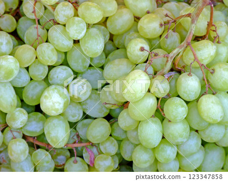 White grape 123347858