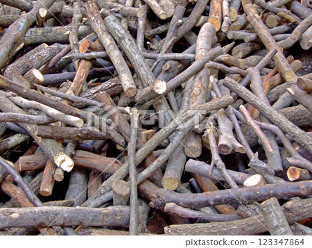 Pile of fire wood 123347864