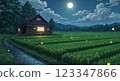 [Anime Background] Fireflies dancing at night 123347866